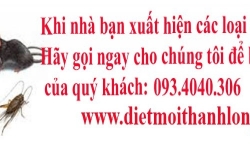 Dịch vụ diệt côn trùng tại Bà Rịa - Vũng Tàu