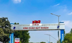 Diệt mối tại bến cầu tỉnh Tây Ninh